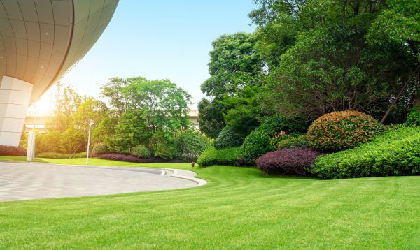 Commercial Lawn Care in Waldorf