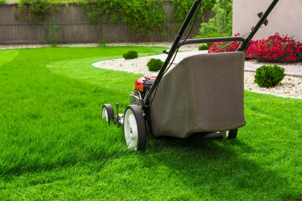 Home Yard Maintenance in Waldorf
