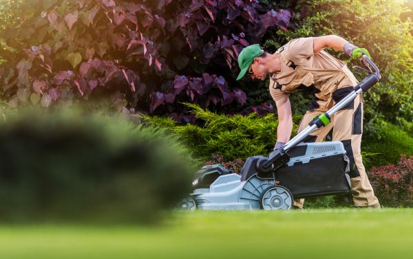 Lawn Care And Maintenance in Waldorf