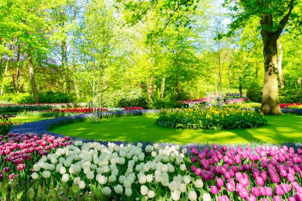 Spring Lawn Care in Waldorf