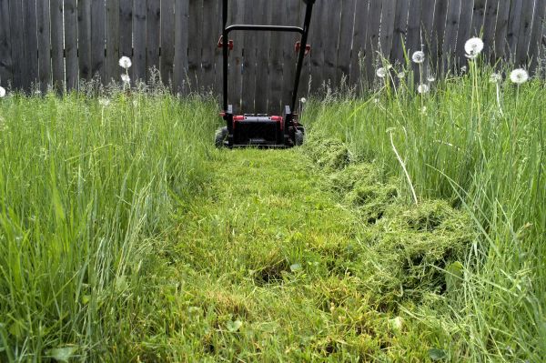 High Grass Mowing in Waldorf