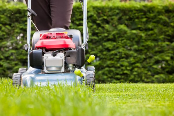 Grass Trimming Service in Waldorf