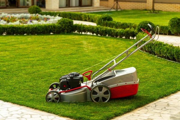Business Grass Cutting in Waldorf