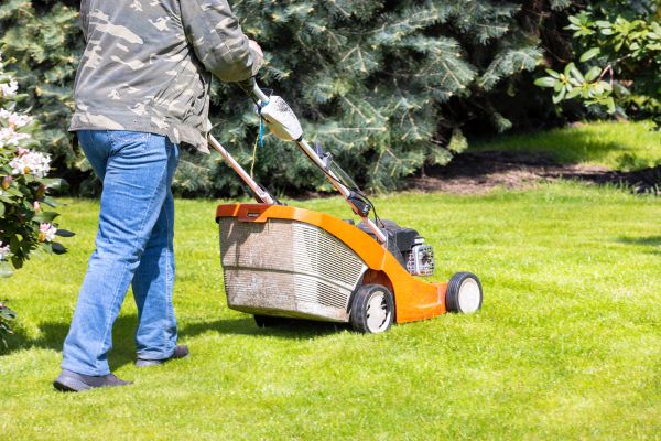 Springtime Lawn Care in Waldorf