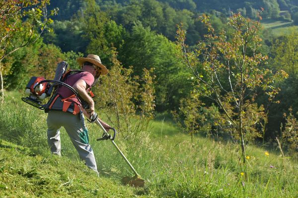 Slope Mowing in Waldorf