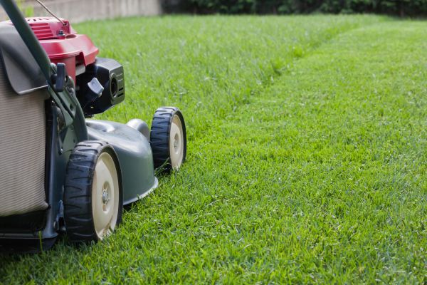 Spring Lawn Maintenance in Waldorf