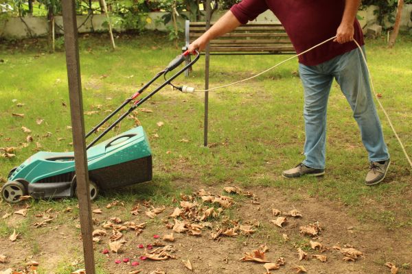 Leaves Mowing in Waldorf