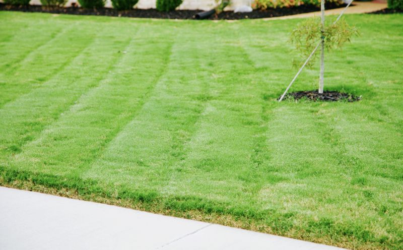 Trimmed Lawn Edges