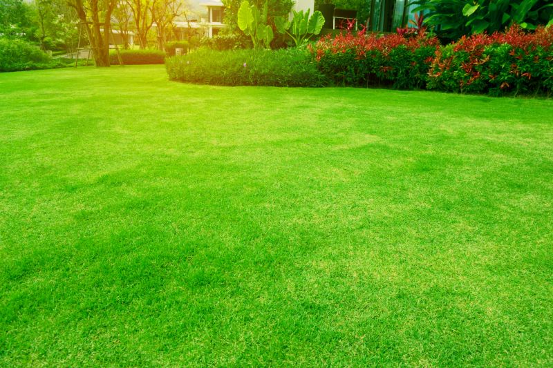 Weekly Lawn Maintenance
